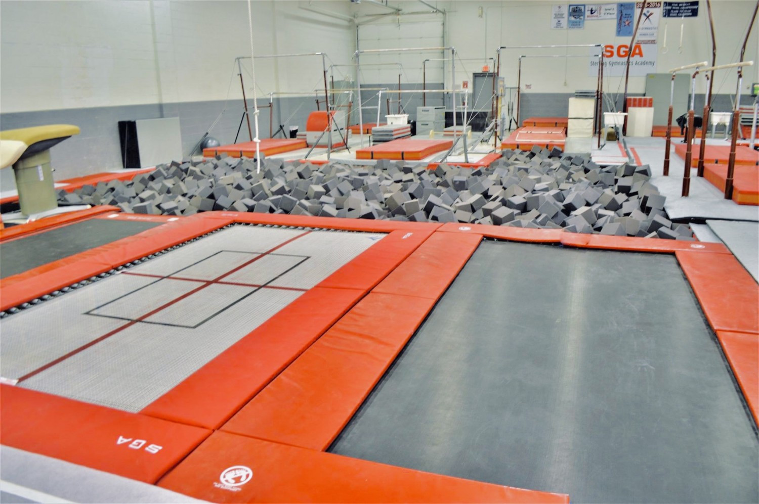 Sterling heights Gymnastics Birthday fundraiser